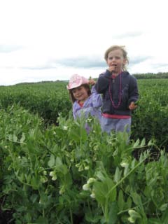Girls in Pea Patch